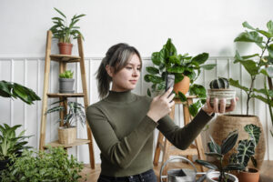 Les tendances du commerce social en 2024 impact stratégies et futur